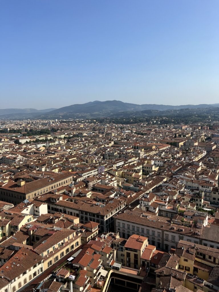 View of City from Duomo